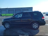 Kia Borrego Ex V6 KNDJH741195037325 снимка