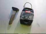 Miniaturka zdjęcia 11