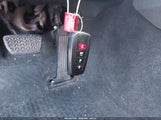 Miniaturka zdjęcia 11