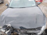 Miniaturka zdjęcia 10