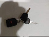 Miniaturka zdjęcia 11