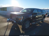 Ford F-150 Xlt 1FTFW1E50PFD03516 снимка