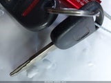 Miniaturka zdjęcia 11