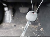 Miniaturka zdjęcia 11