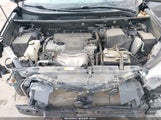 Toyota Rav4 Xle 2T3RFREV4GW420980 снимка