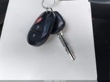 Miniaturka zdjęcia 11