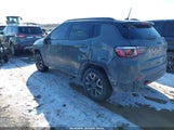 Jeep Compass Trailhawk 4X4 3C4NJDDB8LT222251 снимка