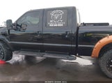 Ford F-250 Fx4/Harley-Davidson/King Ranch/Lariat/Xl/Xlt 1FTSW21R48ED74559 fotografie