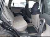 Miniaturka zdjęcia 8