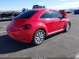 Miniaturka zdjęcia 4