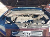 Miniaturka zdjęcia 10