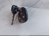 Miniaturka zdjęcia 11