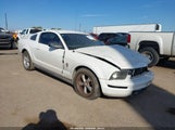 Ford Mustang V6 Deluxe/V6 Premium 1ZVHT80N485184956 photo