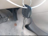 Miniaturka zdjęcia 11