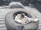Chevrolet Silverado  4Wd Standard Bed Rst 1GCVYEET3MZ370021 снимка