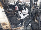 Ram Promaster  Low Roof 136 Wb 3C6TRVAG9HE536225 снимка