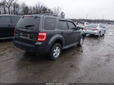 Ford Escape Xlt 1FMCU93749KC31334 снимка