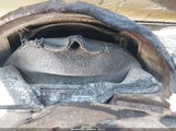 Mercedes-Benz E 320 Bluetec WDBUF22X98B248865 снимка