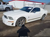 Ford Mustang V6 Deluxe/V6 Premium 1ZVFT80N355112424 photo