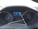 Miniaturka zdjęcia 7