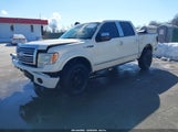 Ford F-150 Fx4/King Ranch/Lariat/Platinum/Xl/Xlt 1FTPW14V49FA58535 fotografie