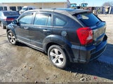 Miniaturka zdjęcia 3