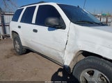 Chevrolet Trailblazer Ls 1GNDT13S762119745 снимка