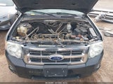 Ford Escape Xlt 1FMCU9D73BKA31677 fotografie