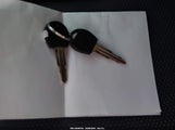 Miniaturka zdjęcia 11