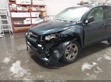 Toyota Rav4 JTMBF33V49D012979 fotografie