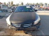 Honda Accord 2.4 Lx-P 1HGCP2F4XCA066196 снимка