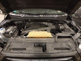Ford F-150 Xlt 1FTEW1EG1GFC92135 снимка