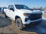Chevrolet Silverado  4Wd Short Bed Custom Trail Boss 3GCUKCED3TG167302 снимка