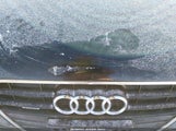 Audi A4 2.0T Premium WAUFFAFL7FN006905 снимка