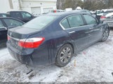 Miniaturka zdjęcia 4