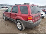 Ford Escape Xlt 1FMYU93135KA62094 снимка