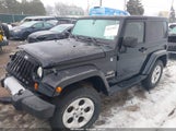 Jeep Wrangler Sahara 1C4AJWBG5DL533450 снимка
