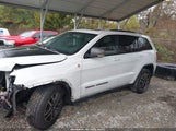 Jeep Grand Cherokee Trailhawk 4X4 1C4RJFLG3KC793330 fotografie