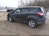 Miniaturka zdjęcia 3