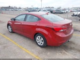 Miniaturka zdjęcia 3