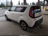 Miniaturka zdjęcia 3