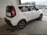 Miniaturka zdjęcia 4
