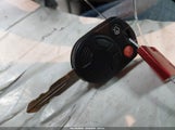Miniaturka zdjęcia 11