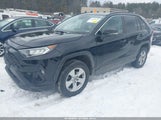 Toyota Rav4 Xle 2T3P1RFVXKC044056 снимка
