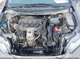 Honda Civic Lx 19XFB2F50DE005229 снимка