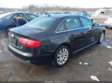 Miniaturka zdjęcia 4