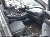 Miniaturka zdjęcia 5