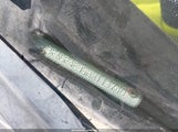 Ford Fiesta Se 3FADP4EJ5HM113740 снимка