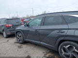 Hyundai Tucson Sel 5NMJF3DE3RH357907 снимка