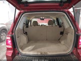 Ford Escape Xlt 1FMCU93118KC23198 снимка